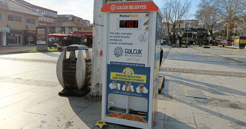 Atıklar, kediler için mamaya dönüşüyor