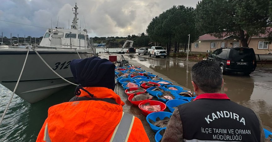 Kaçak avlanan 500 kalkan balığına el konuldu