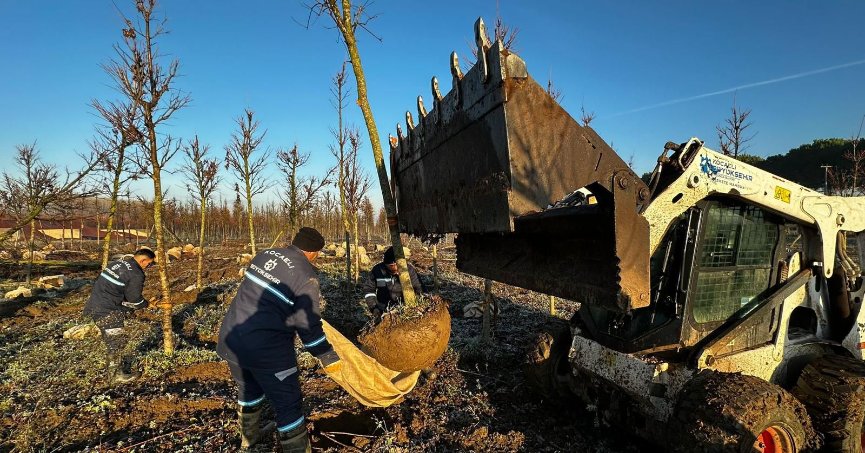 Fidanlıkta binlerce  bitki yetiştiriliyor   