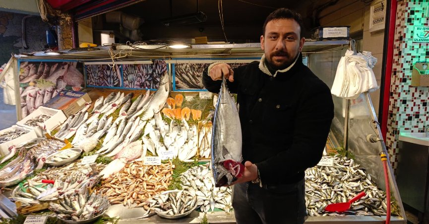 Hamsi yeniden tezgaha döndü