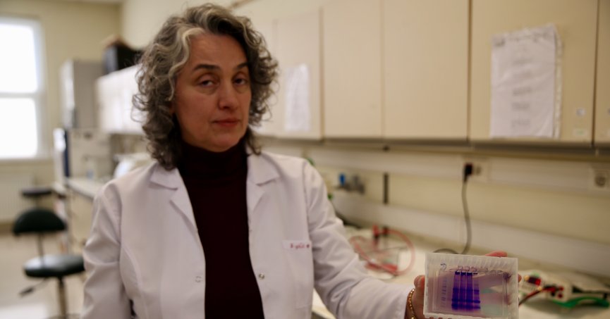 Sivrisinekle mücadelede çevreci proje geliştirdi