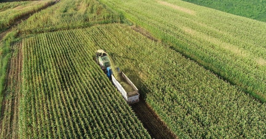 Kırsalda kalkınma 65,5 milyar liralık yatırımla desteklenecek