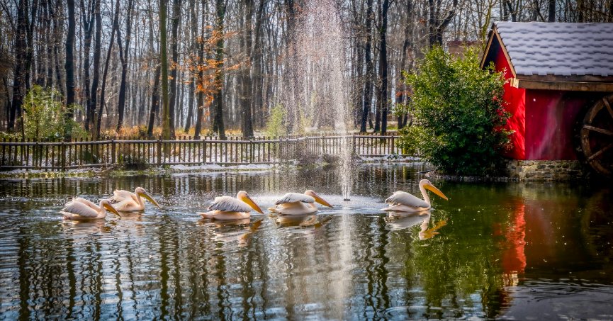Ormanya ve Kuzuyayla doğaseverleri bekliyor