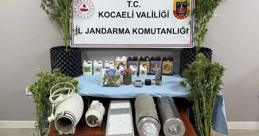 Evleri uyuşturucu serasına çevirmişler: 36 gözaltı