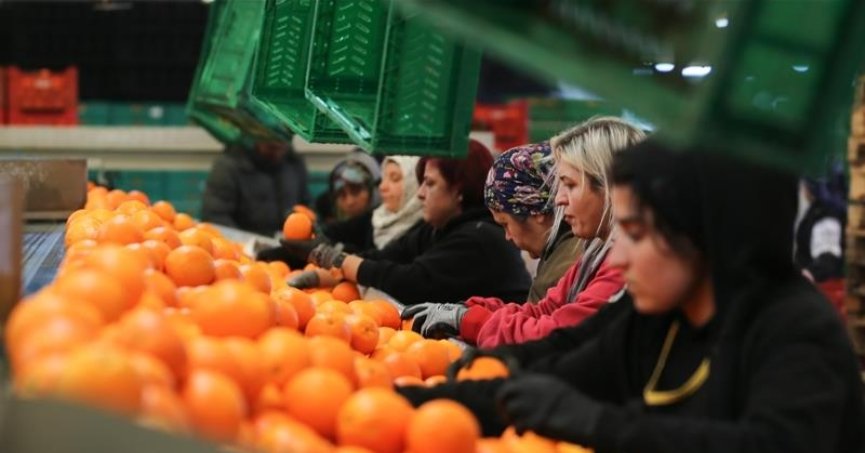 Kadın çalışanların  ihracattaki payı arttı