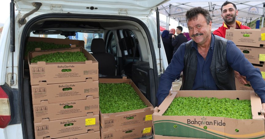 Çiftçilere sebze fidesi desteği