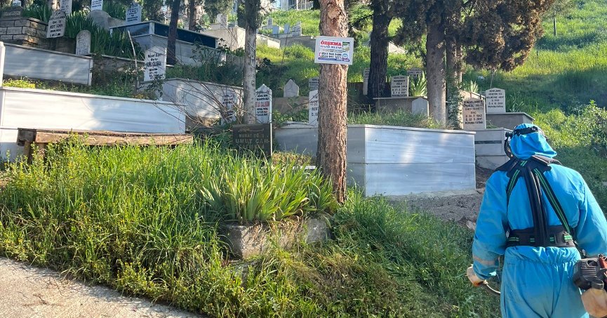 Mezarlıklarda budama ve ot biçme çalışması