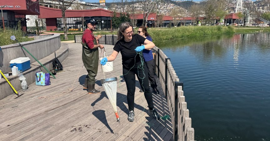 Gölette ekosistem için bilimsel çalışma