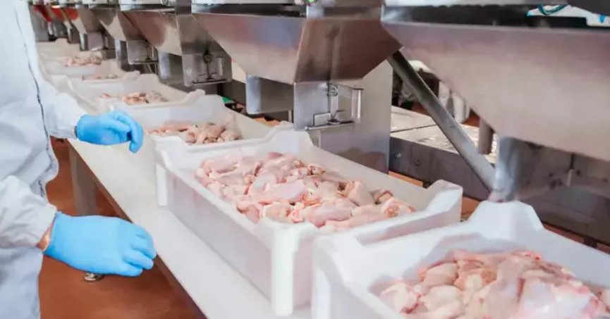 Tavuk eti üretimi aylık bazda azaldı
