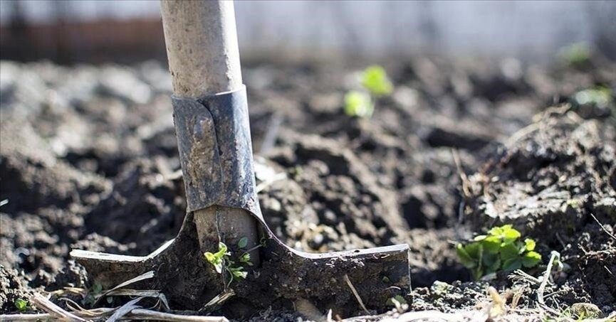Gübre grubunda iki üründe gümrük vergisi sıfırlandı