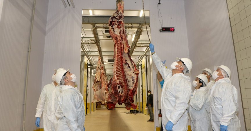 Büyükşehir mezbahası örnek model gösterildi