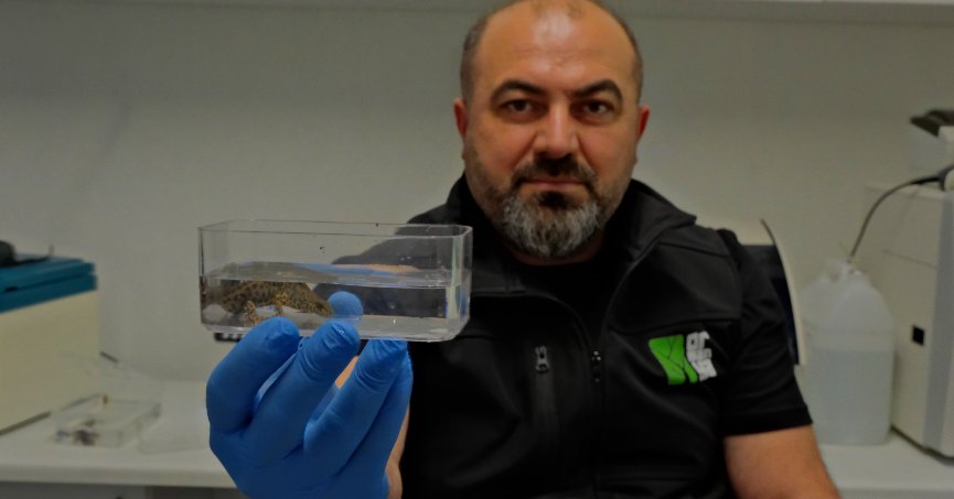 Ormanya’da yeni türler keşfedildi