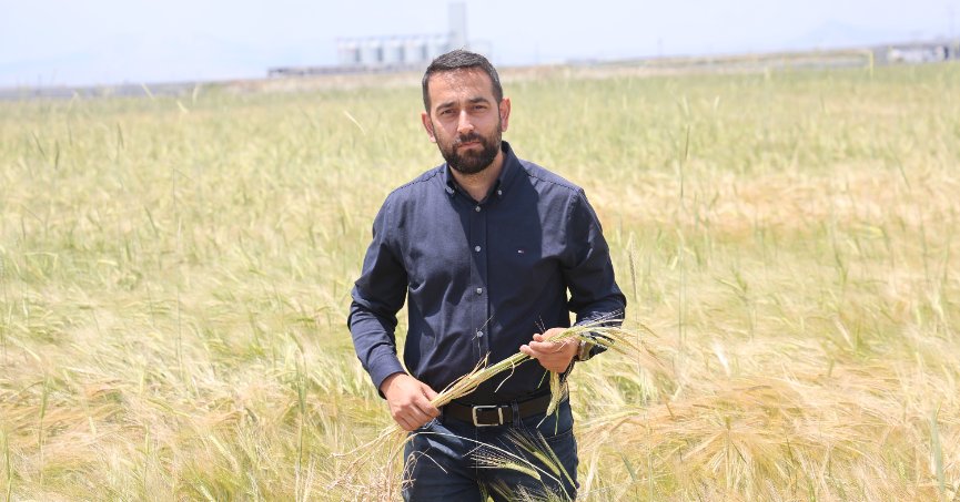 Tahıl ambarı Konya’da  rekolte beklentisi yüksek