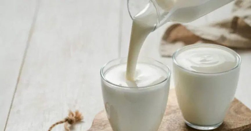 Ayran, kefir ve yoğurt üretimi rekor seviyede