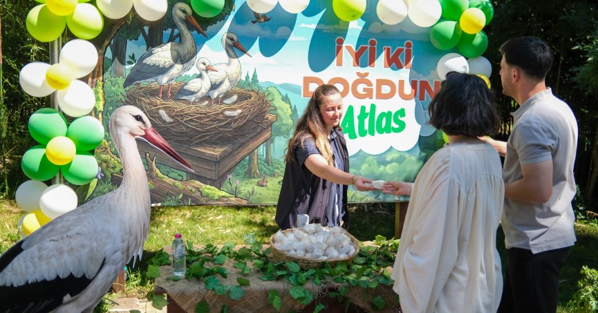 Ormanya’da yavru leylek Atlas’a sürpriz kutlama