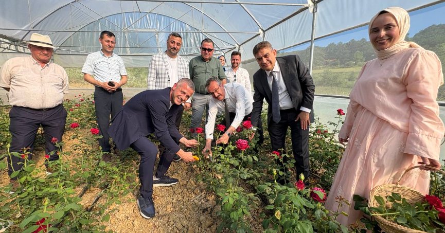 Kocaeli’nin ilk gül serası kadın elinden