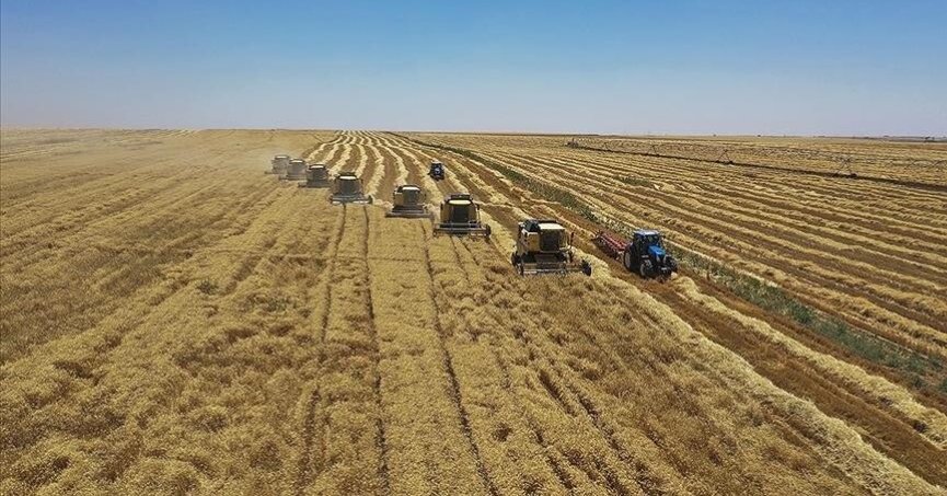 Çiftçilere “yem bitkileri” ekme önerisi