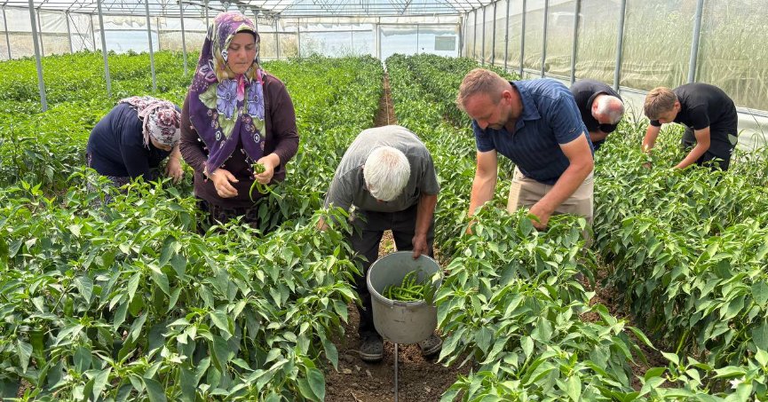 Sera desteği üretime güç kattı