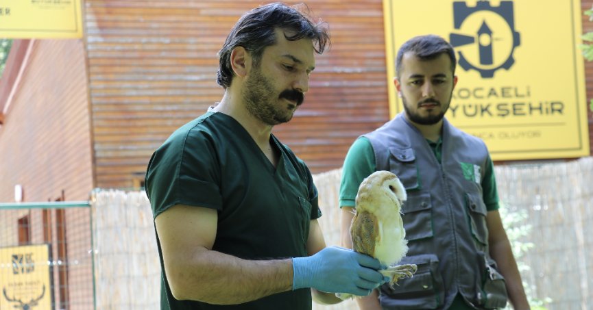 Yaralı yaban hayvanları Ormanya’da iyileşiyor