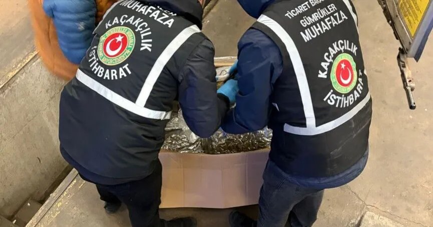 Gümrük muhafaza ekipleri  kaçakçılara göz açtırmadı