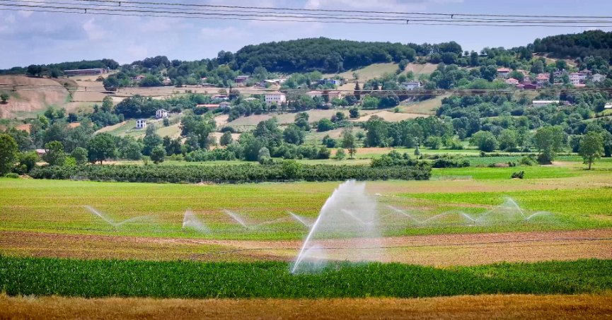 Kocaeli tarımında  çift hasat dönemi