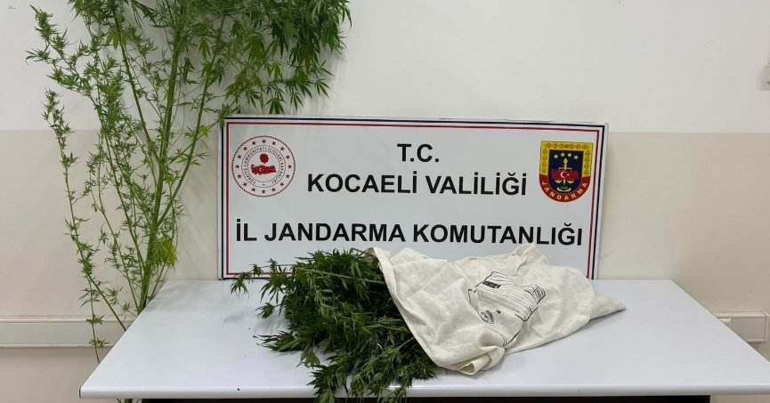 Jandarmadan uyuşturucu  operasyonu: 1 tutuklama