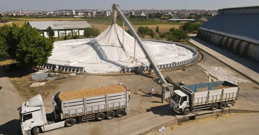 TMO, bu yıl rekor  hububat aldı