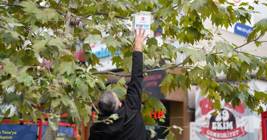 Çınar ağaçları kitap açacak
