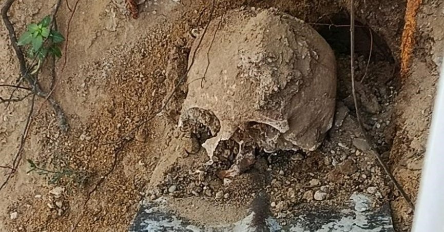 Site bahçesinde iskelet parçaları bulundu