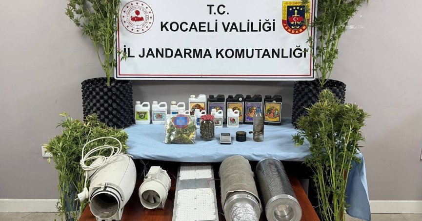 Evleri uyuşturucu serasına çevirmişler: 36 gözaltı