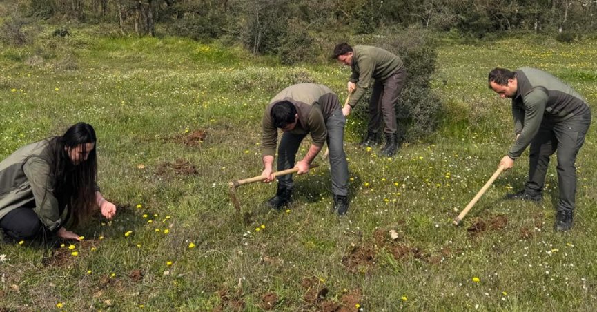 İzinsiz salep orkidesi toplayan kişiye 699 bin lira ceza