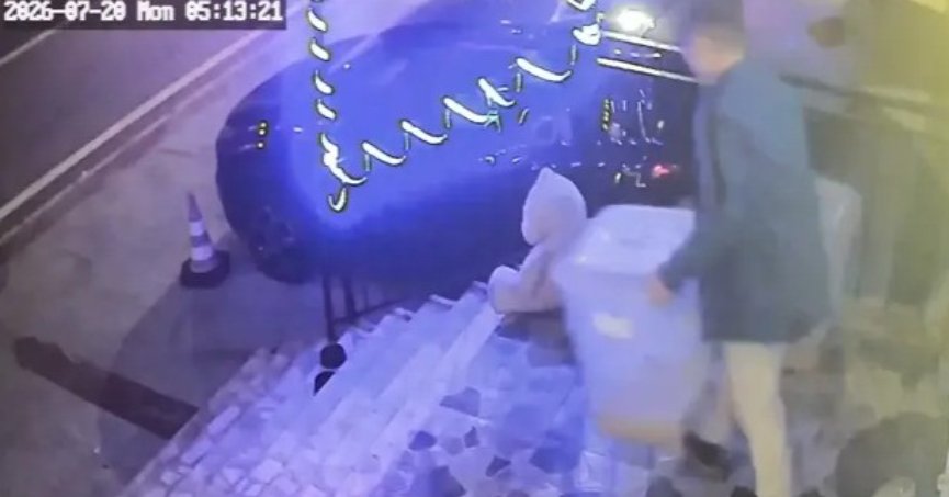 Petshop önündeki mama kutusunu çaldı