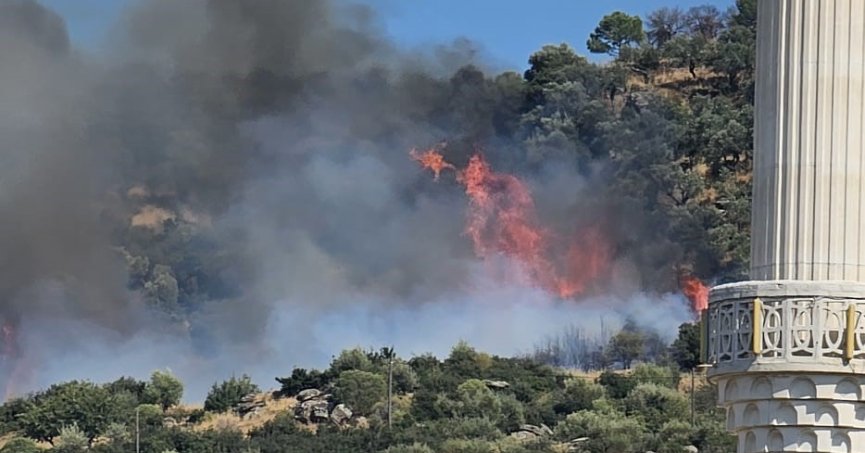Gebze’de orman yangını başladı