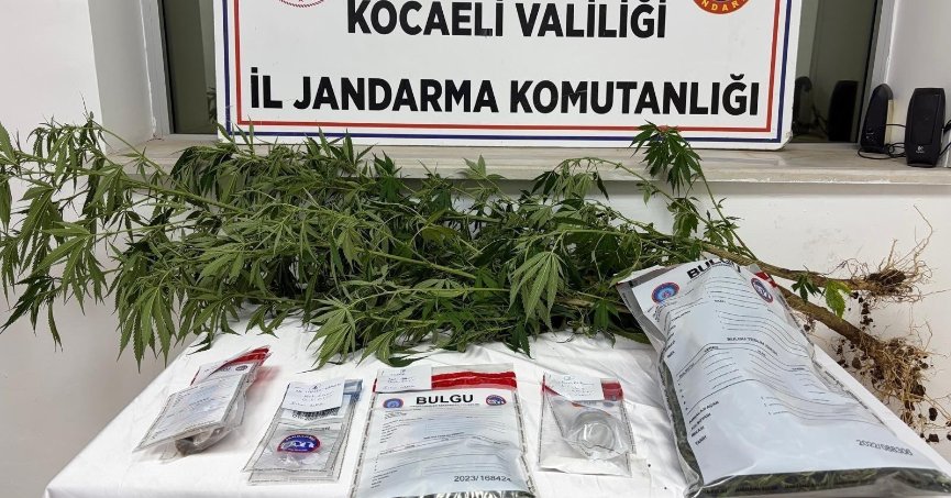 2 adreste 1 kilo esrar ele geçirildi