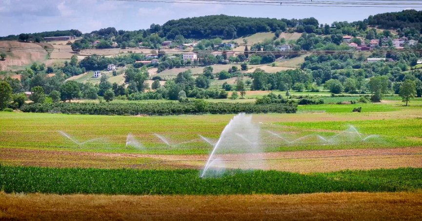 Kocaeli tarımında  çift hasat dönemi