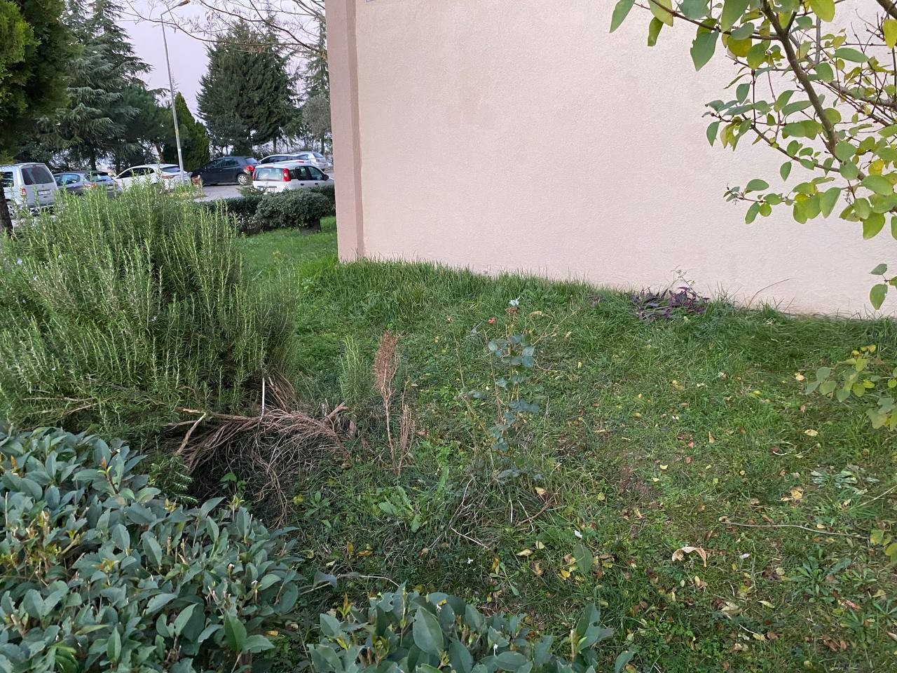 Camları silerken 4'üncü kattan düştü