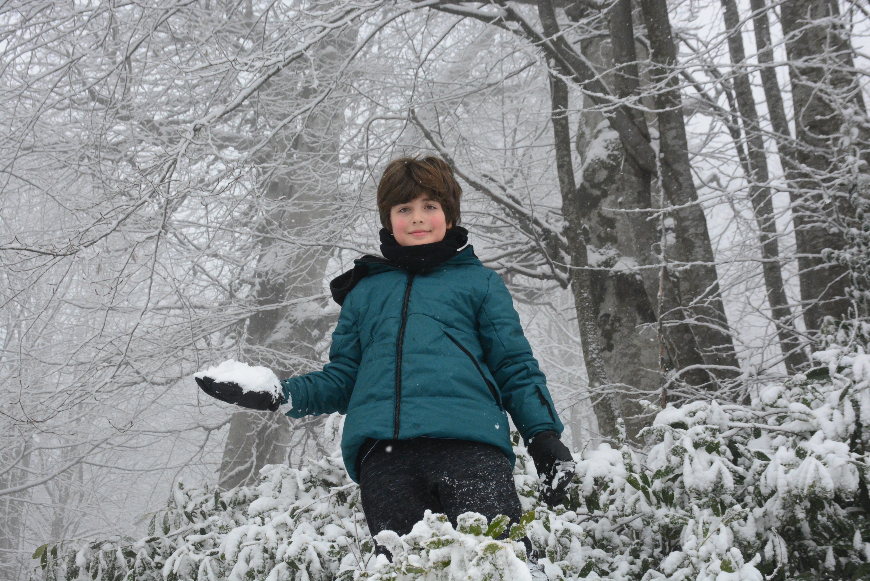 Beklenen kar gelince soluğu Kartepe’de aldılar