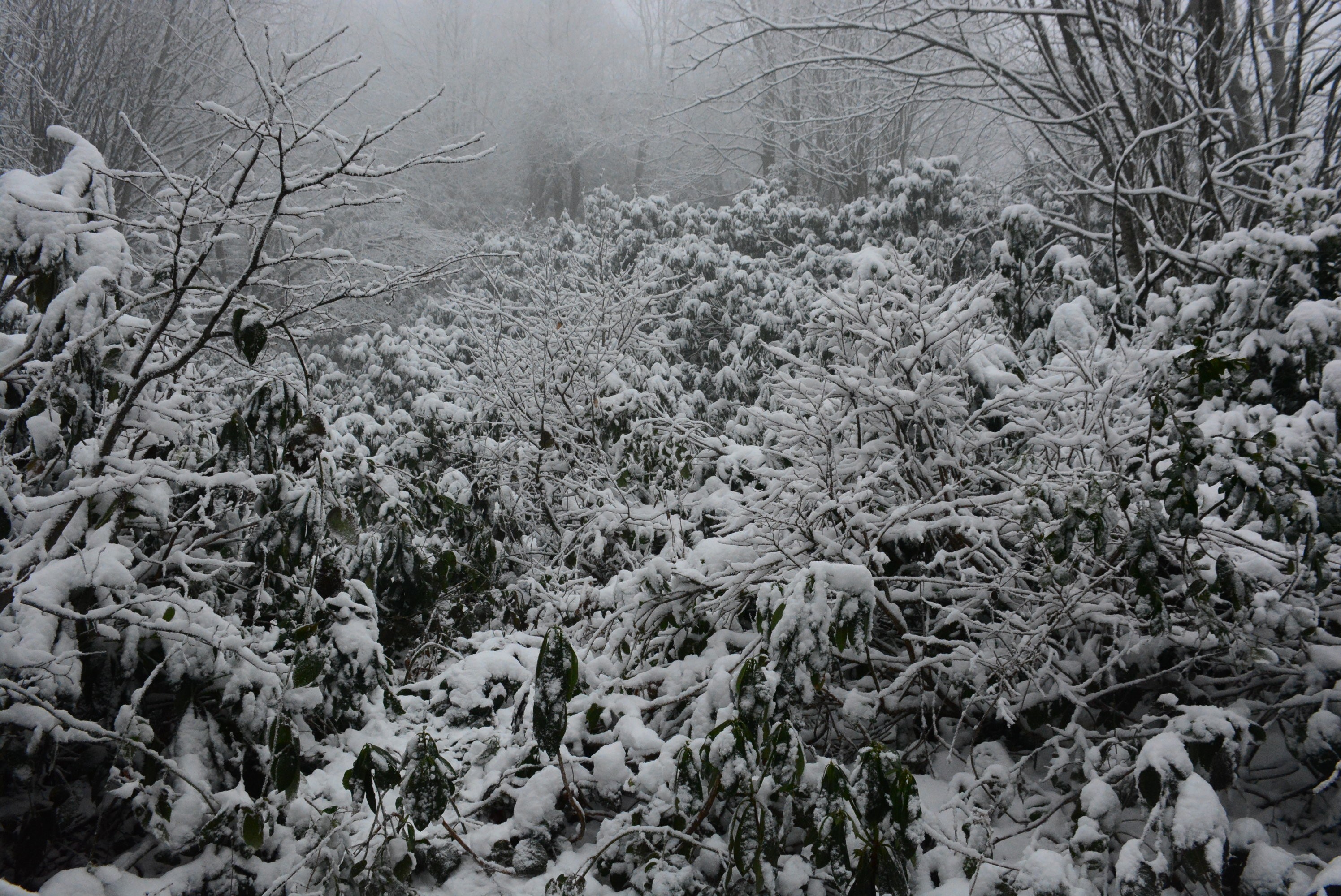 Beklenen kar gelince soluğu Kartepe’de aldılar