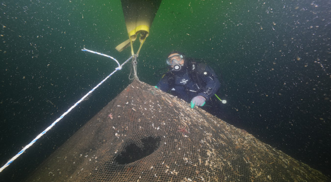 “Hayalet Ağlar”ın temizlenmesi görüntülendi