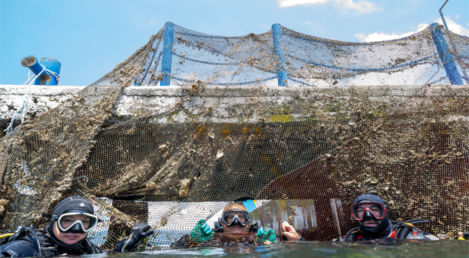 “Hayalet Ağlar”ın temizlenmesi görüntülendi