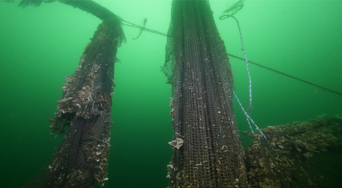 “Hayalet Ağlar”ın temizlenmesi görüntülendi