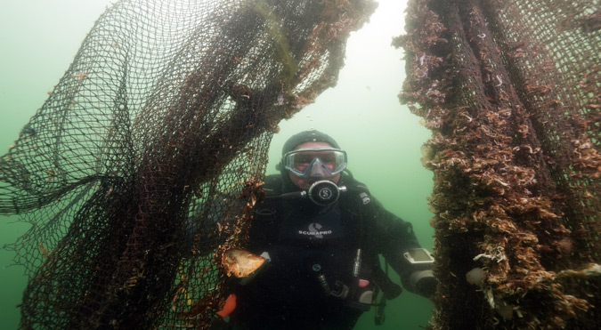 “Hayalet Ağlar”ın temizlenmesi görüntülendi