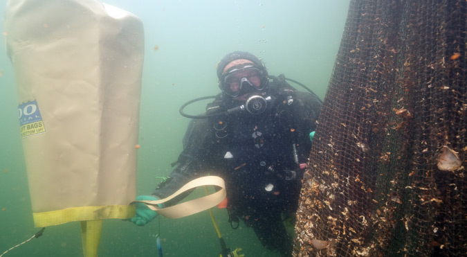 “Hayalet Ağlar”ın temizlenmesi görüntülendi